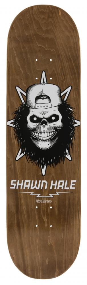 Birdhouse Hale Skull Brown 8.5" Pro Deck